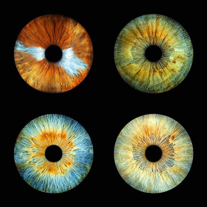 Pour capturer la beauté unique de votre iris